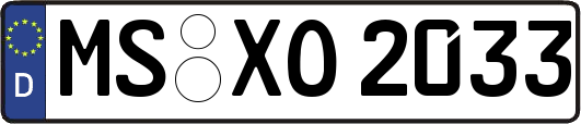 MS-XO2033