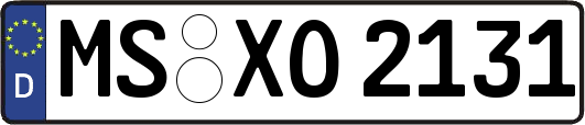 MS-XO2131