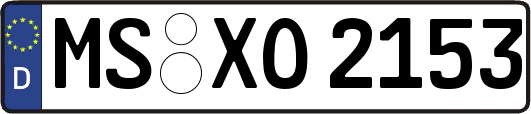 MS-XO2153