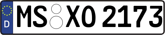 MS-XO2173