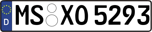 MS-XO5293