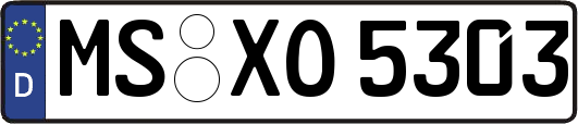 MS-XO5303
