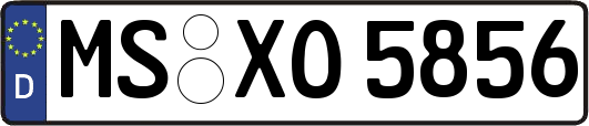 MS-XO5856