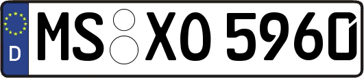 MS-XO5960