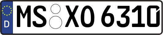 MS-XO6310