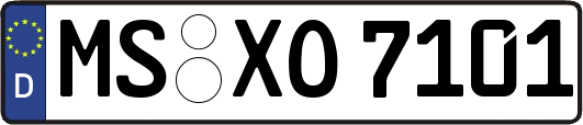 MS-XO7101