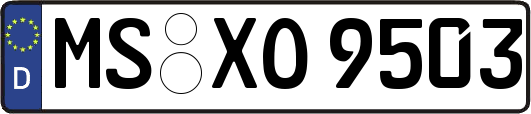 MS-XO9503