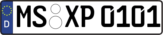 MS-XP0101