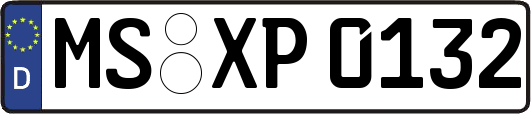 MS-XP0132