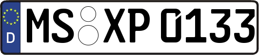 MS-XP0133
