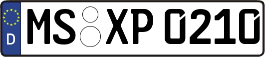 MS-XP0210