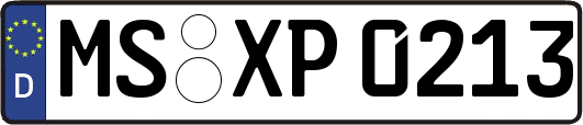 MS-XP0213