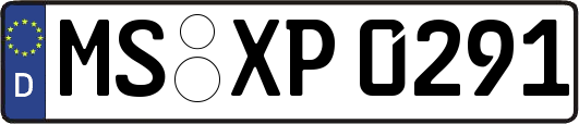 MS-XP0291