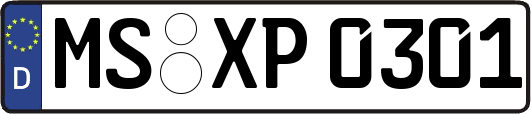 MS-XP0301