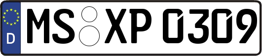MS-XP0309