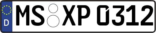 MS-XP0312