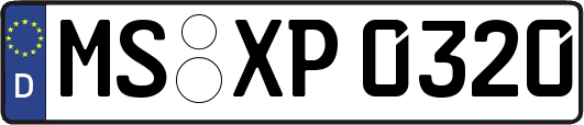 MS-XP0320