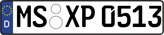 MS-XP0513