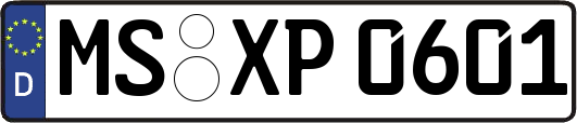MS-XP0601