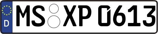 MS-XP0613