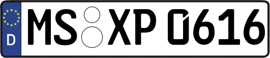 MS-XP0616
