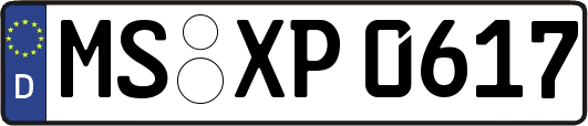 MS-XP0617