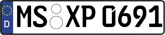 MS-XP0691