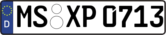 MS-XP0713