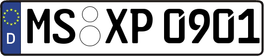 MS-XP0901