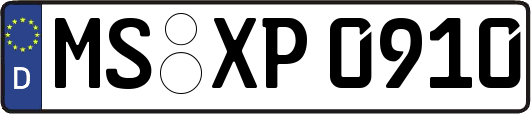 MS-XP0910