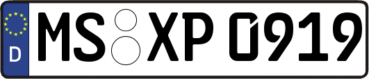 MS-XP0919