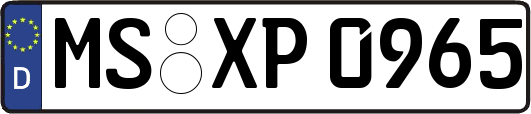 MS-XP0965