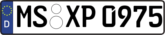 MS-XP0975