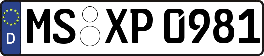 MS-XP0981