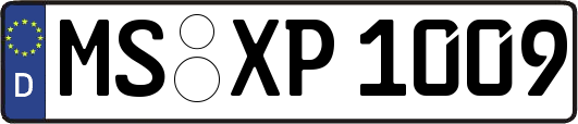 MS-XP1009