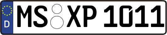 MS-XP1011