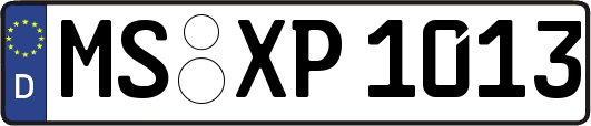 MS-XP1013