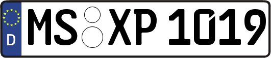 MS-XP1019