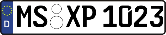 MS-XP1023