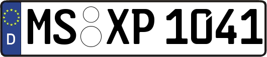 MS-XP1041