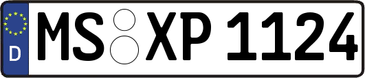 MS-XP1124