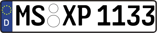 MS-XP1133