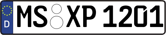 MS-XP1201
