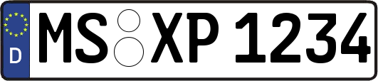 MS-XP1234