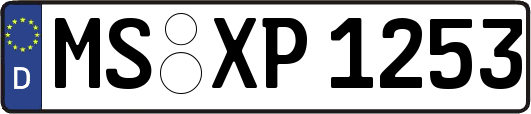 MS-XP1253