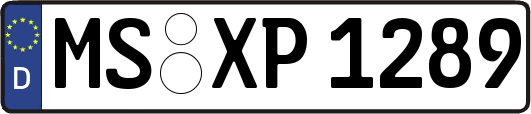 MS-XP1289