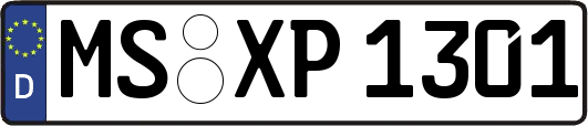 MS-XP1301