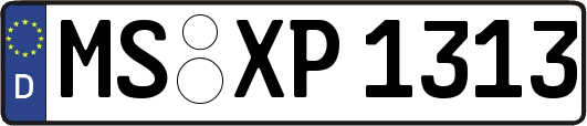 MS-XP1313