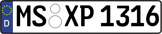 MS-XP1316