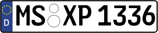 MS-XP1336